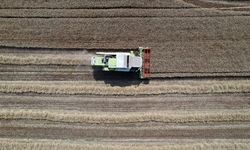 2025 sertifikalı tohum kullanım desteği 2. ödeme icmalleri askıya çıkarıldı