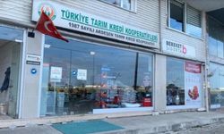 Rize Tarım Kredi Kooperatifleri iletişim bilgileri: İlçe ilçe adres ve telefon rehberi