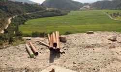 Çeltik tarlalarına 100 metre mesafede altın madeni sondajı: Devrez Vadisi’nde üreticiler endişeli