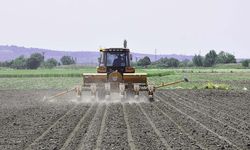 2026 tarımsal destek ödemeleri yarın başlıyor: 12.3 milyar TL hesaplarda!