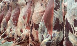 Et kesim fiyatları 2026 | Güncel dana, inek ve kuzu kesim fiyatları
