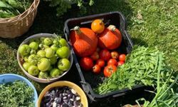 Hal Yasası çözüm mü, yük mü? Ergin Kahveci’den sert eleştiri: "Yasa takıntısından sıyrılın!"