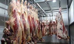 Et kesim fiyatları 2026 | Güncel dana, inek ve kuzu kesim fiyatları