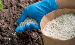 Gübrede şok gelişme! Bakanlık yanlışlıkla kapattı, ihracatçının girişimiyle sorun çözüldü!