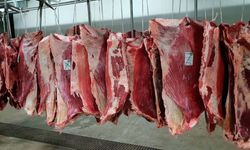 Besicinin "kırmızı hat" mücadelesi: Karkas fiyatında 700 TL resti!