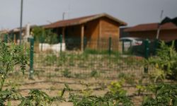Hobi bahçelerinde kooperatif zırhı deliniyor: Tarım arazilerinde 'ya tarım ya yaptırım' dönemi!