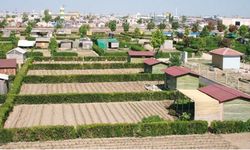 Hobi bahçelerinde hukuki garabet uyarısı: Malikaneye dönüştü, yıkılamıyor!