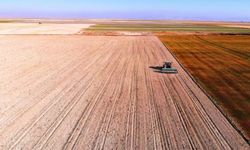 Buğday, arpa ve mısır fiyatları haftaya nasıl başladı? (2 Mart 2026)