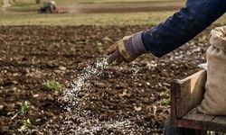 Toros Gübre ilk fiyatı açıkladı: %33 AN gübresi kaç TL’den satılacak?