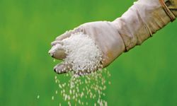 Küresel gübre piyasasında sert yükseliş: iki günde 60 dolar arttı