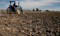 İspanya'dan çiftçiye 'savaş' kalkanı: 877 milyon Euro'luk dev paket!