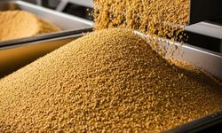 Yağlı tohum ve küspe piyasasında son durum: Ayçiçek ve zeytinyağı fiyatları cep yakıyor!