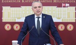 Zeytinyağında teneke krizi: Üretici yorgun aklımızla dalga geçmeyin!