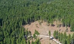 2B ve orman tapularında 'Samsun' çığlığı: Devlet emlakçı zihniyetiyle para toplamasın!