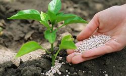 Tarım Kredi'de gübre fiyatları fren tutmuyor: 15 günde rekor artış!