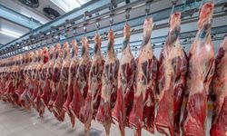 Tarım Kredi'nin Bosna macerası hazin bitti! Et ithalat şirketi hayvan fiyatları artınca tasfiye edildi!