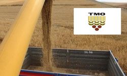 TMO 455 bin ton yemlik arpa ve mısır ithal edecek! İşte ihale detayları