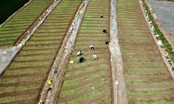 Çiftçinin hesabına 17,3 milyar TL yatıyor: Bakan Yumaklı dev destek paketini duyurdu!