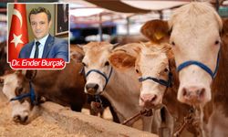 Sınırda şap alarmı! Yunanistan ve Kıbrıs’ta SAT-1 tehdidi: Türkiye için kritik uyarı