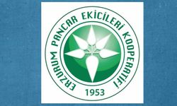 Erzurum Pancar Kooperatifi’nde “Yalanlama” çıkmazı: Rakamlar yönetimi değil, raporu doğruluyor!