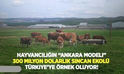 Hayvancılığın "Ankara modeli": 300 milyon dolarlık Sincan ekolü Türkiye’ye örnek oluyor!