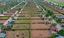 Hobi hahçesi sahipleri dikkat! 5 bin liralık ceza 1.2 milyon lira olabilir