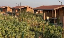 Bakan Yumaklı ile görüştü, Meclis'i işaret etti: Hobi bahçelerine "Torba Kanun" affı mı?