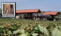 Tarım arazilerinde "Hobi" maskeli talan: Toprağın kolunu kesip protez mi takacağız?