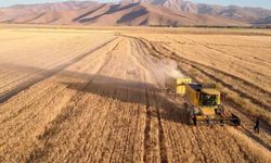 20 Nisan güncel hububat fiyatları: Ticaret borsalarında arpa şoku! Yeni hasat öncesi kritik veriler
