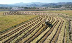 Yatırımcılar dikkat: 2026 kırsal kalkınma destekleri için yol haritası açıklandı!