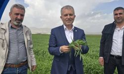 Jeopolitik kriz çiftçiyi vurdu: Mardinli hububatçılardan "Vergi Sıfırlansın" çağrısı!