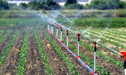 Modern sulama sistemlerine devlet desteği: Başvuru rehberinde neler var?