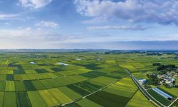 Ankara'da o mahalle için karar çıktı: Zorunlu arazi toplulaştırması başlıyor!