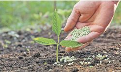 Gübrede savaş bilançosu: Maliyet yükü 91 milyar TL’yi aşarken kullanım oranı yüzde 6 geriledi