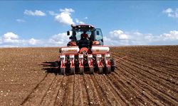 Pancar üreticisine "Taban Gübresi" uyarısı: Miktar değil, saf madde kazanır!