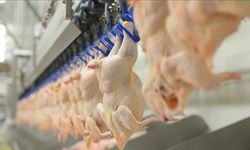 Ergin Kahveci’den et raporu: Dünya tavuğa dönüyor, sığırda kriz kapıda!