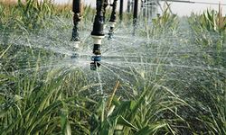 Tarlada su tasarrufuna destek: Sulama sistemlerine yüzde 70 hibe müjdesi!