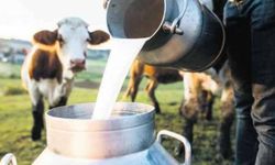 TÜSEDAD "28,35 TL" dedi, USK "24,30 TL" açıkladı! Süt fiyatlarında akılalmaz uçurum