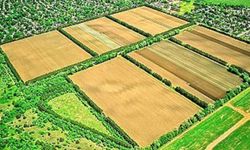 Tarımda 'Veto' dönemi başladı: Tarlasına çivi çakacak olanlar dikkat!