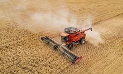 Tarımda dev hibe dönemi: Proje başına 30 milyon TL destek!