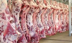 TİGEM’in et ihalesinde ESK bilmecesi: 325 TL’lik fiyat ithalat kıskacındaki ESK’ya emanet!