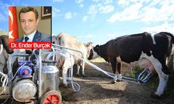 Sütte dev üretici, ihracatta cüce: Türkiye’nin "Kazan-Kazan" çıkmazı!