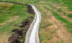 Asrın sorusu: Suya göre tarım mı, tarıma göre su mu? Parçalı yönetim Türkiye'yi susuzluğa mahkum ediyor!