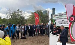 Öz Orman-İş’ten basın emekçilerine unutulmayacak jest: Artık onların da bir dikili ağacı var!