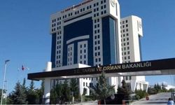 Tarımda unvan değişikliği sınavında 'Mühendis' skandalı: 924 adaydan Bakanlığa büyük tepki!