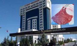 Bakanlık’tan Tarımdan Haber’in yapay et haberi sonrası resmi açıklama: “Başvuru bile yapılamayacak”