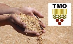 Arpa satışı durduruldu, buğdayda fiyat değişmedi! TMO'dan kritik Mayıs hamlesi