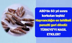 ABD’de 60 yıl sonra korkutan teşhis! Hayvancılığın en tehlikeli paraziti geri döndü: Türkiye’yi nasıl etkiler?