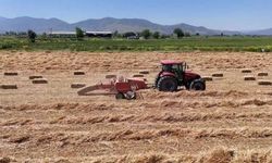Konya Ticaret Borsası'nda arpa fiyatı geriledi! İşte 12 Haziran hububat piyasası