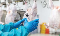 Beyaz et sektöründe dev operasyon: 13 Şirkete kayyum, 32 gözaltı